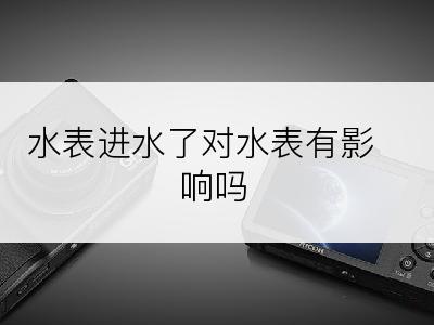 水表进水了对水表有影响吗