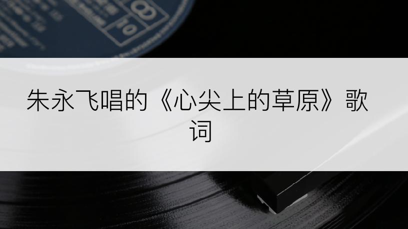 朱永飞唱的《心尖上的草原》歌词