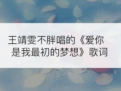 王靖雯不胖唱的《爱你是我最初的梦想》歌词