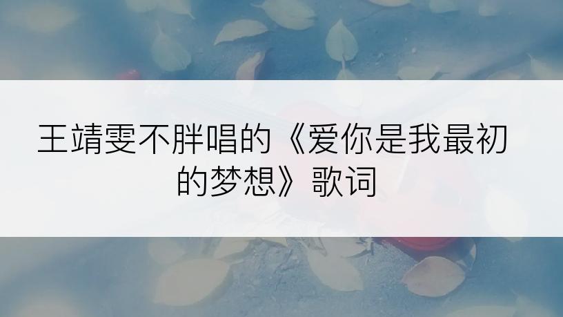 王靖雯不胖唱的《爱你是我最初的梦想》歌词