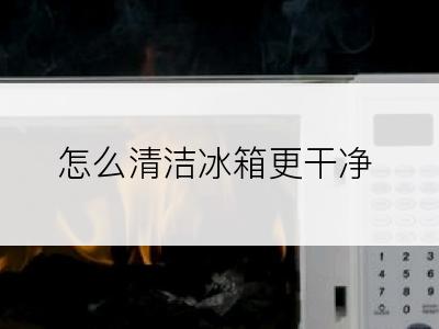 怎么清洁冰箱更干净