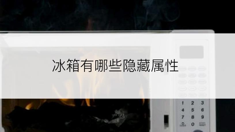 冰箱有哪些隐藏属性