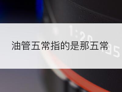 油管五常指的是那五常