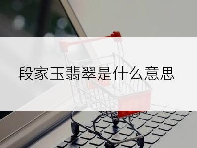 段家玉翡翠是什么意思