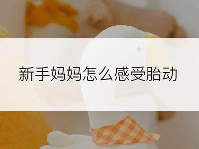 新手妈妈怎么感受胎动