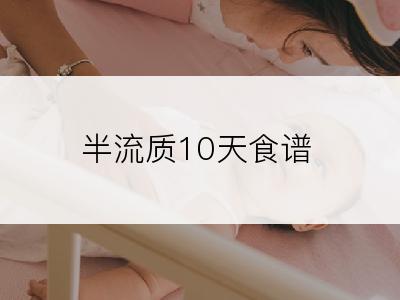 半流质10天食谱