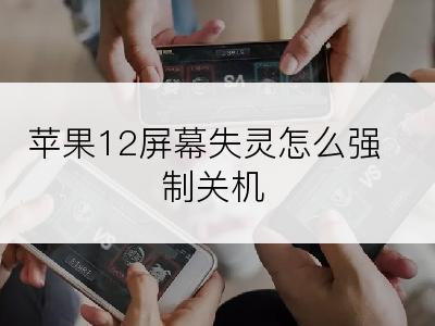 苹果12屏幕失灵怎么强制关机