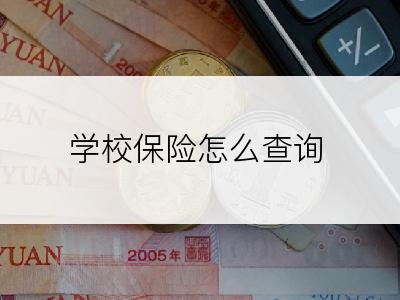 学校保险怎么查询