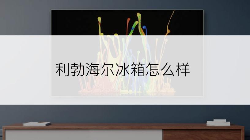 利勃海尔冰箱怎么样