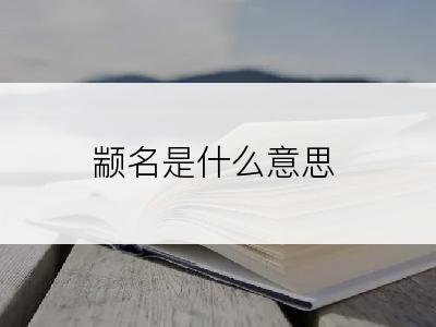 颛名是什么意思