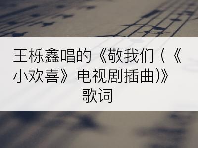 王栎鑫唱的《敬我们 (《小欢喜》电视剧插曲)》歌词