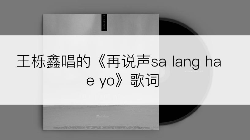 王栎鑫唱的《再说声sa lang hae yo》歌词