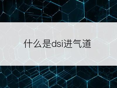 什么是dsi进气道