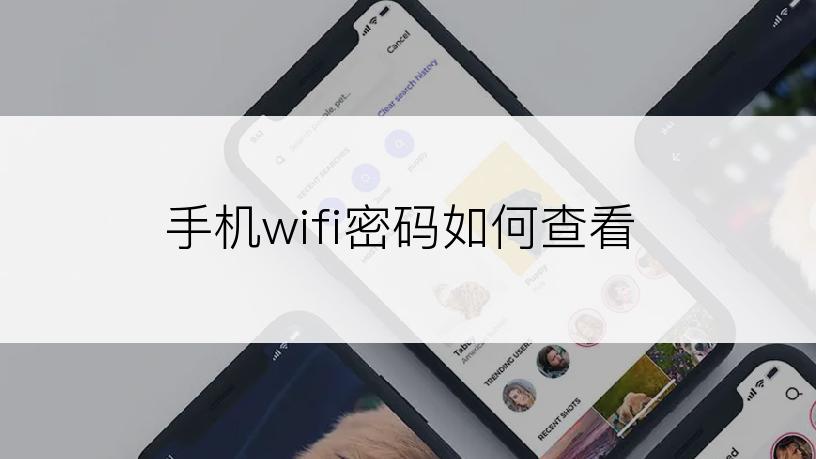 手机wifi密码如何查看