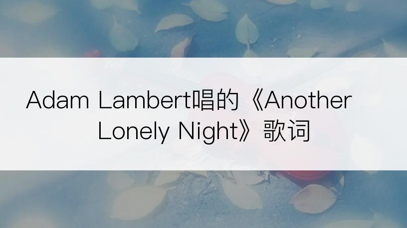 Adam Lambert唱的《Another Lonely Night》歌词