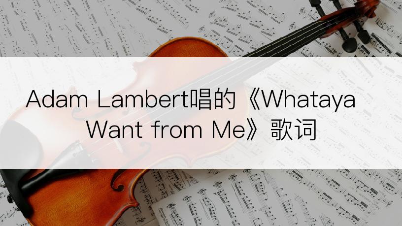 Adam Lambert唱的《Whataya Want from Me》歌词