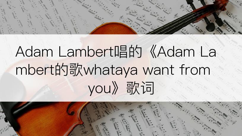 Adam Lambert唱的《Adam Lambert的歌whataya want from you》歌词