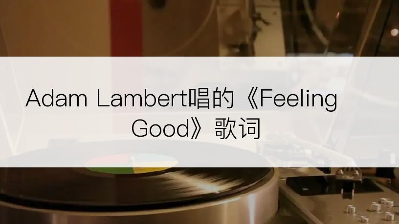 Adam Lambert唱的《Feeling Good》歌词