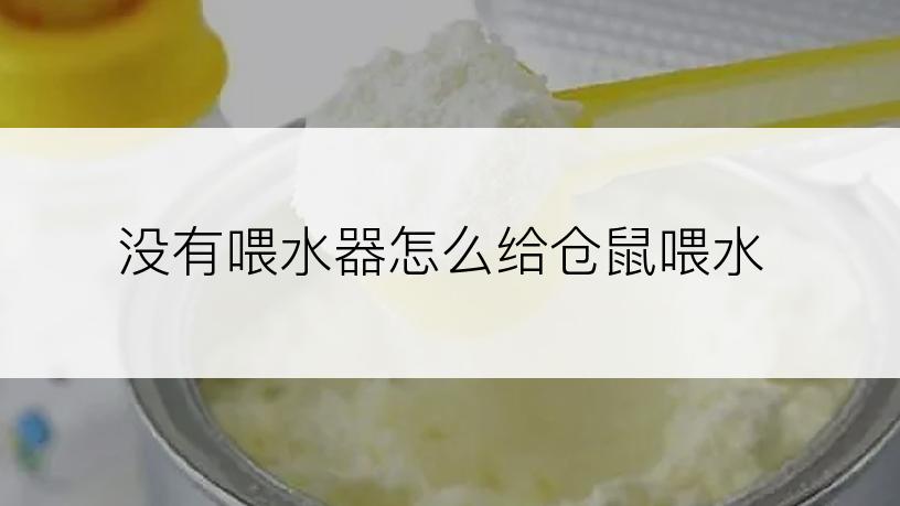 没有喂水器怎么给仓鼠喂水