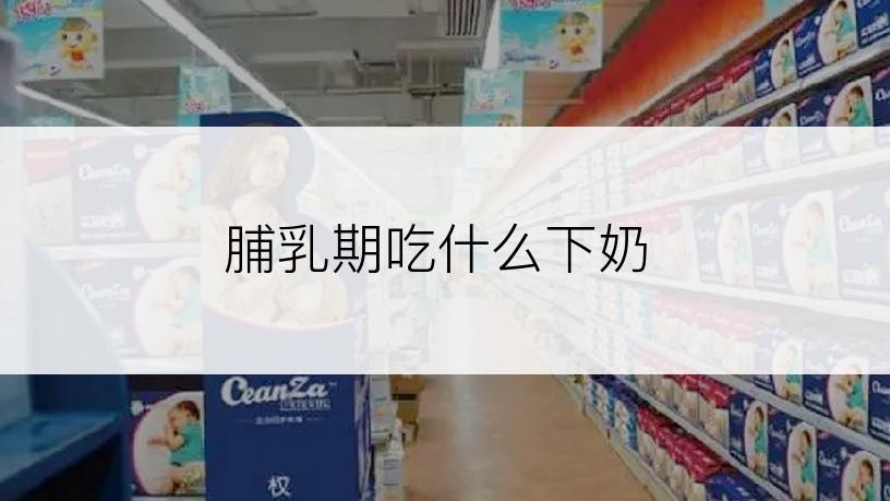 脯乳期吃什么下奶