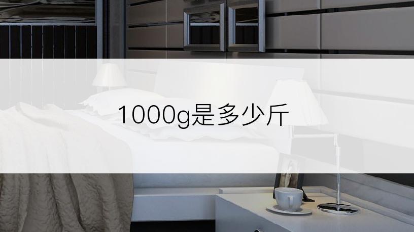 1000g是多少斤