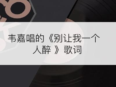 韦嘉唱的《别让我一个人醉 》歌词