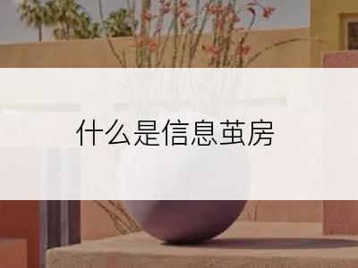 什么是信息茧房