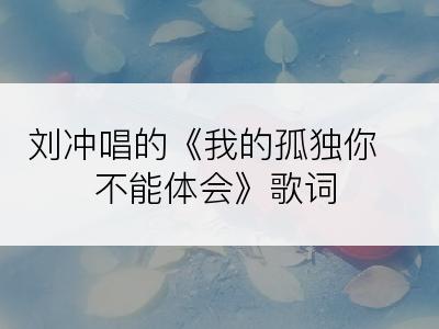 刘冲唱的《我的孤独你不能体会》歌词