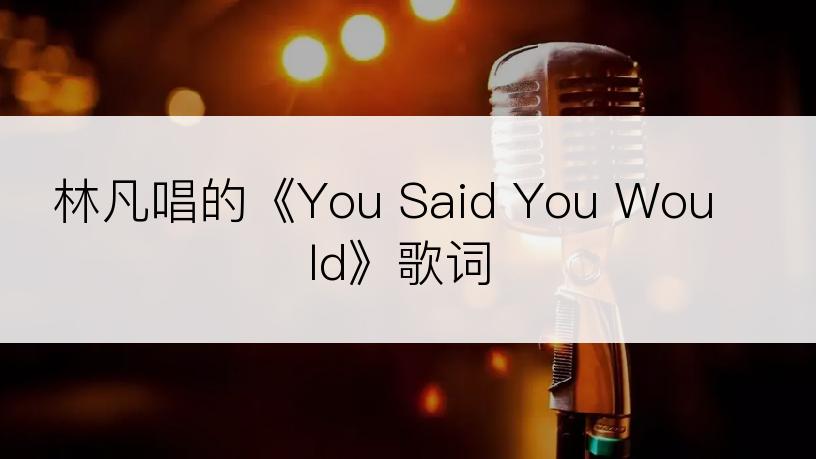 林凡唱的《You Said You Would》歌词