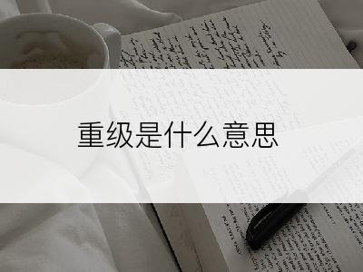 重级是什么意思