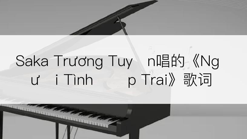 Saka Trương Tuyền唱的《Người Tình Đẹp Trai》歌词