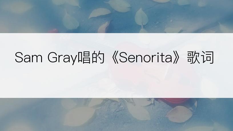 Sam Gray唱的《Senorita》歌词