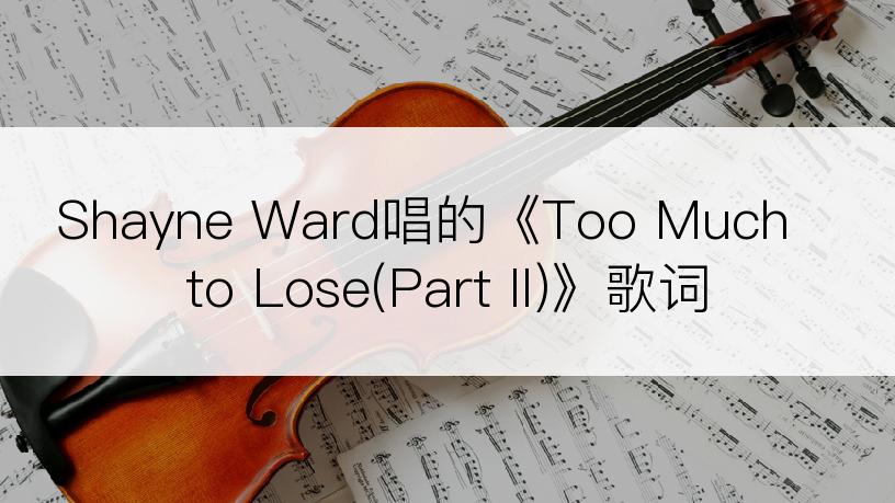 Shayne Ward唱的《Too Much to Lose(Part II)》歌词