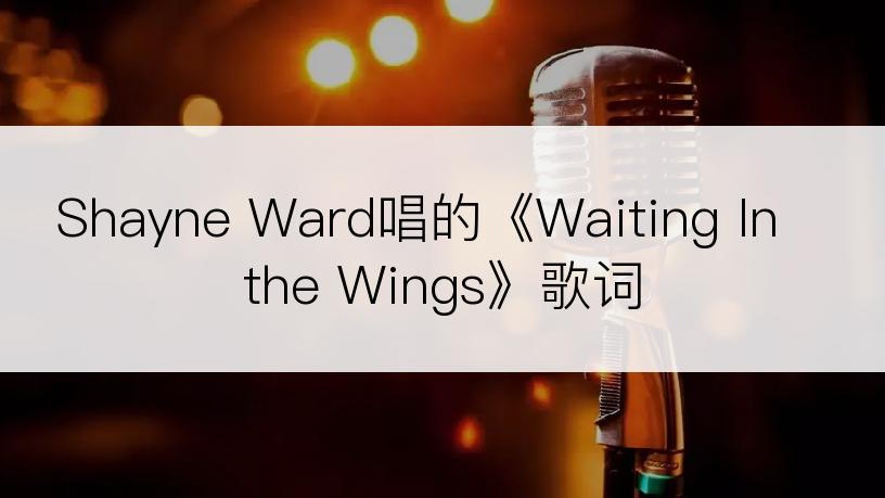 Shayne Ward唱的《Waiting In the Wings》歌词