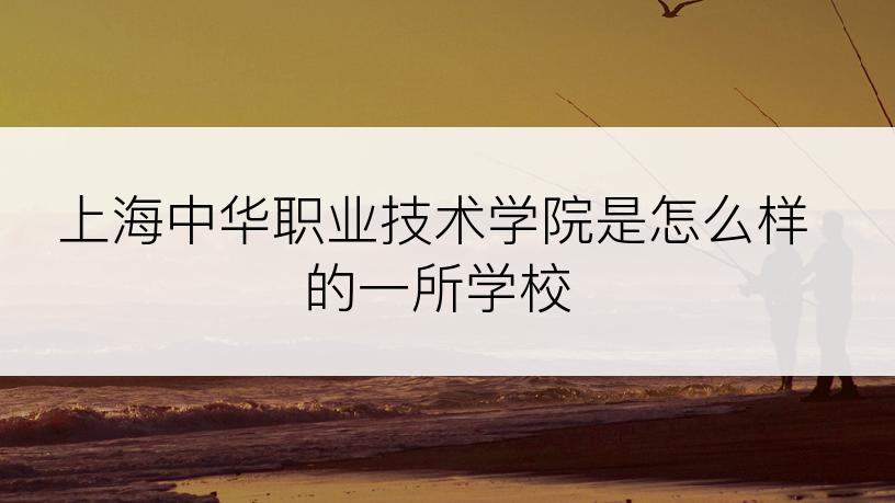 上海中华职业技术学院是怎么样的一所学校