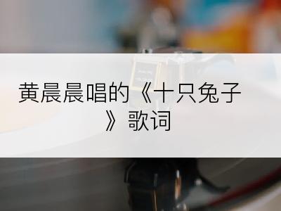 黄晨晨唱的《十只兔子》歌词