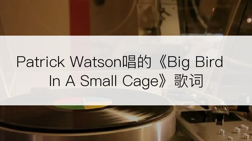 Patrick Watson唱的《Big Bird In A Small Cage》歌词