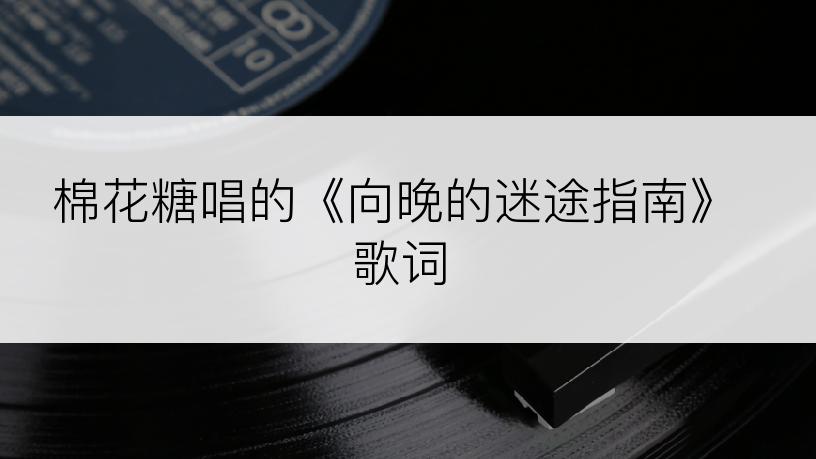 棉花糖唱的《向晚的迷途指南》歌词