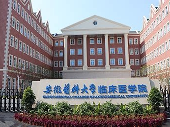 安徽医科大学临床医学院是怎么样的一所学校