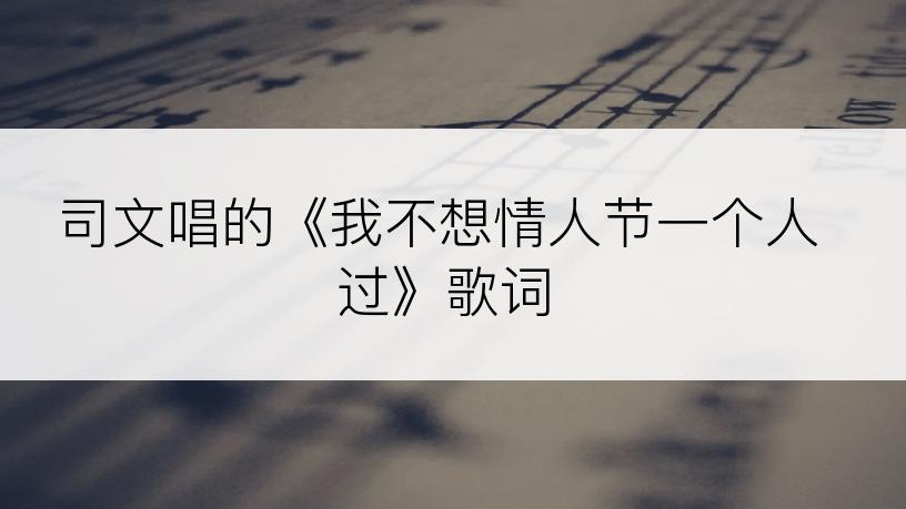 司文唱的《我不想情人节一个人过》歌词