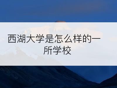 西湖大学是怎么样的一所学校