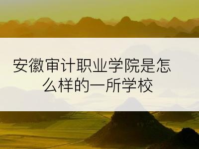 安徽审计职业学院是怎么样的一所学校