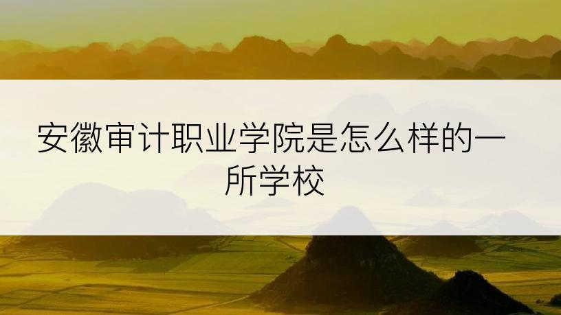 安徽审计职业学院是怎么样的一所学校