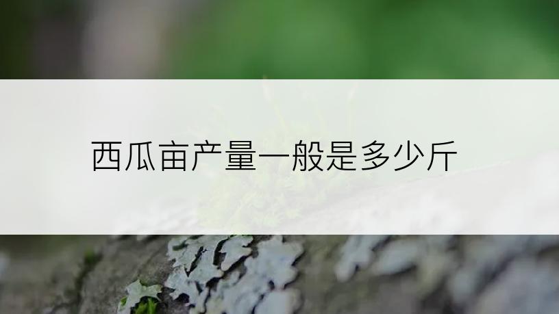 西瓜亩产量一般是多少斤