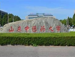 山东中医药大学是怎么样的一所学校