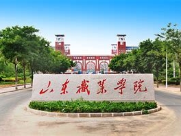 山东职业学院是怎么样的一所学校