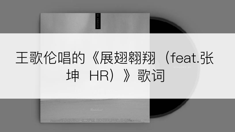 王歌伦唱的《展翅翱翔（feat.张坤  HR）》歌词