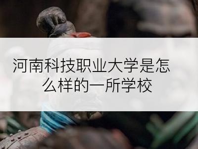 河南科技职业大学是怎么样的一所学校