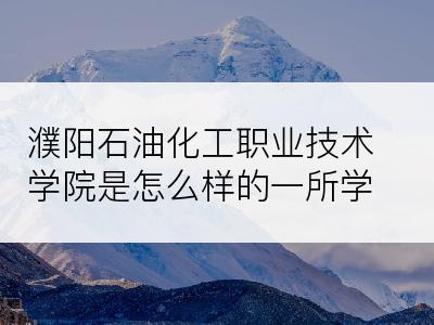 濮阳石油化工职业技术学院是怎么样的一所学校