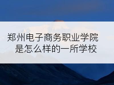 郑州电子商务职业学院是怎么样的一所学校